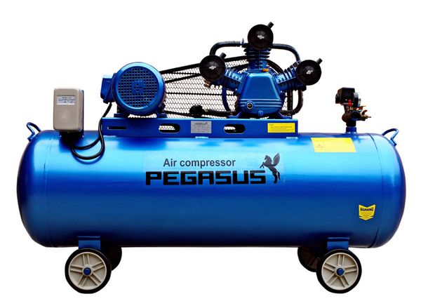 Máy nén khí dây đai PEGASUS TM-W-0.36/8-330L